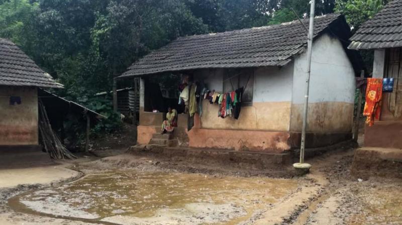The homes of Kattunayaka tribe in Kolur colony at Muthanga in Wayanad. The homes of Kattunayaka tribe in Kolur colony at Muthanga in Wayanad.