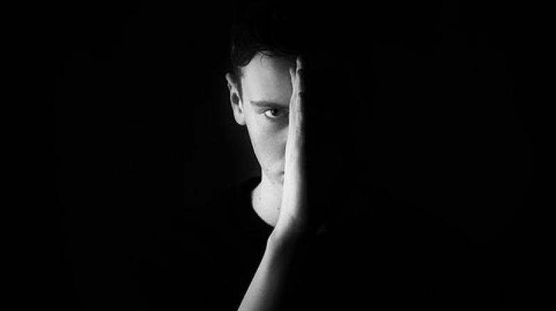 Changes in social behaviour during adolescence appear to be independent of pubertal hormones. (Photo: Pixabay) Changes in social behaviour during adolescence appear to be independent of pubertal hormones. (Photo: Pixabay)