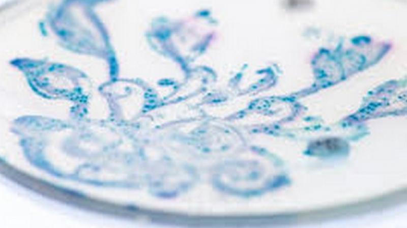 The results of the study were published in the journal of 'Universita di Trento.' (Photo: ANI) The results of the study were published in the journal of 'Universita di Trento.' (Photo: ANI)