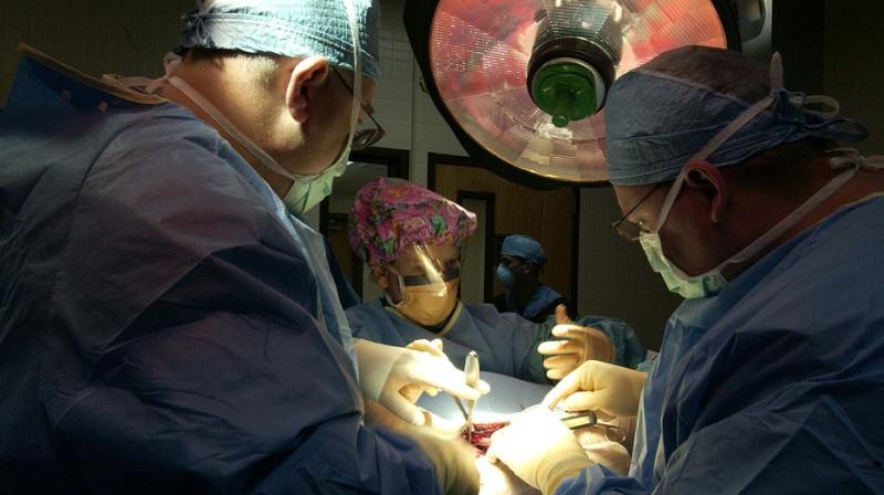 The donor, a resident of Faridabad, was declared brain dead at PGI Hospital after being on ventilator support for three weeks when her family decided to donate the heart. (Photo: Pixabay) The donor, a resident of Faridabad, was declared brain dead at PGI Hospital after being on ventilator support for three weeks when her family decided to donate the heart. (Photo: Pixabay)