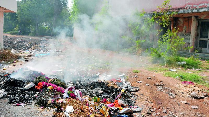 Burnt garbage greets visitors to the Public Gardens. (Photo: P. Surendra) Burnt garbage greets visitors to the Public Gardens. (Photo: P. Surendra)