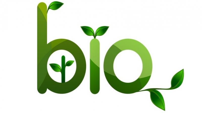 The research team reported success with a rubber-toughened product derived from microbial fermentation that they said could perform like conventional plastic. (Photo: ANI) The research team reported success with a rubber-toughened product derived from microbial fermentation that they said could perform like conventional plastic. (Photo: ANI)