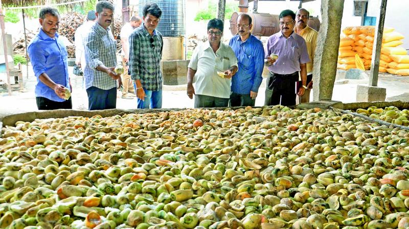 Food Safety authorities and tahsildar inspect the Agro industry which failed to maintain minimum hygiene in Anantapur. (Photo: DC) Food Safety authorities and tahsildar inspect the Agro industry which failed to maintain minimum hygiene in Anantapur. (Photo: DC)