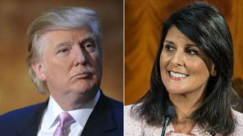 Haley's abrupt decision left many in the White House in shock as there was no indication that she planned to leave office. Haley had submitted her resignation on October 3. (Photo: File) Haley's abrupt decision left many in the White House in shock as there was no indication that she planned to leave office. Haley had submitted her resignation on October 3. (Photo: File)