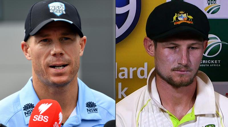 Bancroft, who has admitted he nearly walked away from the game to become a yoga teacher in the wake of the vitriol that met the tampering scandal, added that "we've all been there for each other". (Photo: AFP) Bancroft, who has admitted he nearly walked away from the game to become a yoga teacher in the wake of the vitriol that met the tampering scandal, added that "we've all been there for each other". (Photo: AFP)
