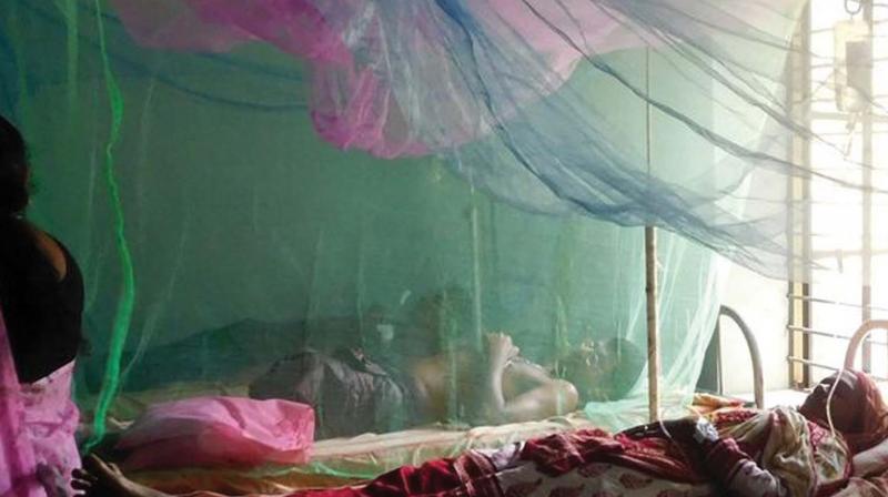 A dengue ward in Koorachundu CHC (file) A dengue ward in Koorachundu CHC (file)