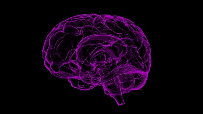 Combination of obesity and ageing increases risk of Alzheimer's disease. (Photo: Pixabay) Combination of obesity and ageing increases risk of Alzheimer's disease. (Photo: Pixabay)