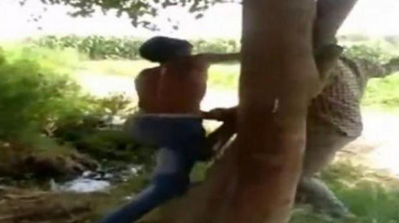 The victim, identified as Shiv Kumar, was brutally thrashed by the man on grounds of stealing muskmelons from the fields. (Photo: ANI) The victim, identified as Shiv Kumar, was brutally thrashed by the man on grounds of stealing muskmelons from the fields. (Photo: ANI)