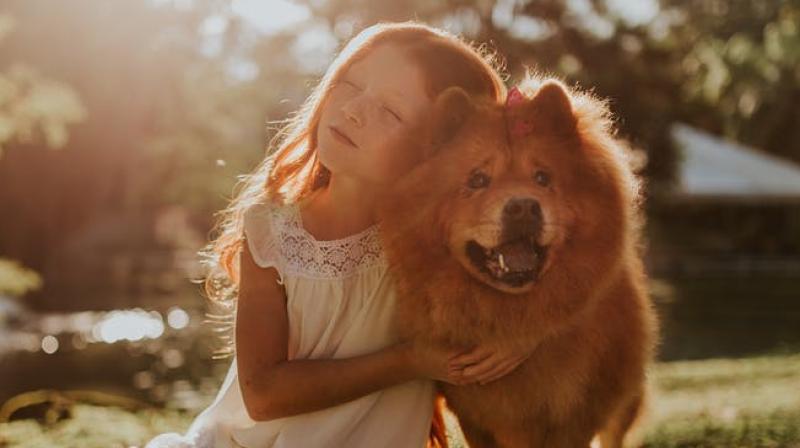 Researchers say dogs could protect against childhood asthma, eczema. (Photo: Pexels) Researchers say dogs could protect against childhood asthma, eczema. (Photo: Pexels)