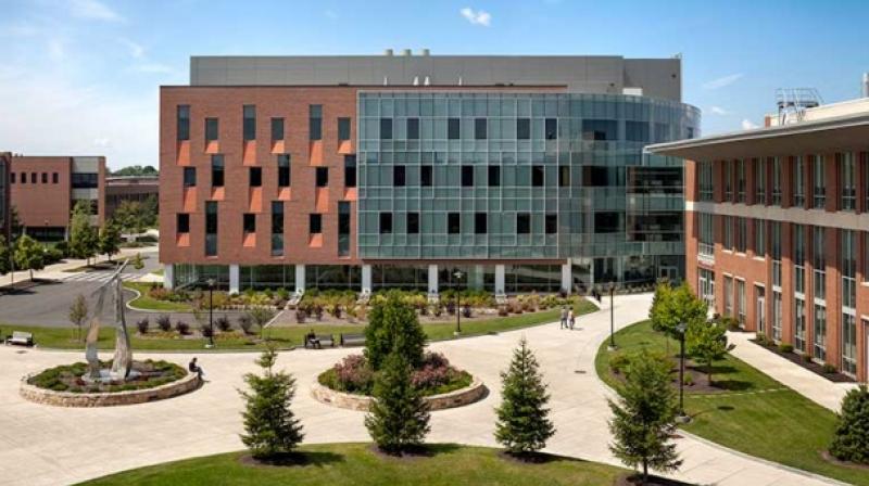The Rochester Institute of Technology's slide featured the Winnie the Pooh character Roo (Photo: RIT) The Rochester Institute of Technology's slide featured the Winnie the Pooh character Roo (Photo: RIT)