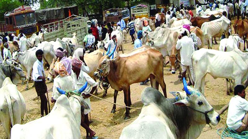 There will be a total of 350 stalls of government, public sector, and private institutions spanning across an area of 25 acres. (Representational image) There will be a total of 350 stalls of government, public sector, and private institutions spanning across an area of 25 acres. (Representational image)