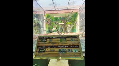 A display board at one of the enclosures in the recently inaugurated aviary at the Nehru Zoological Park tells visitors they can look for a House Sparrow, along with a few other birds in the enclosure. — DC Image