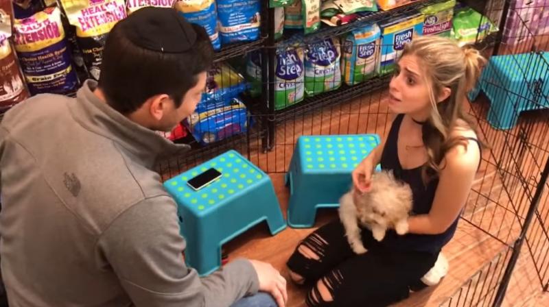 This girl can't cannot her emotions when her boyfriend proposes with a puppy. (Photo: Youtube) This girl can't cannot her emotions when her boyfriend proposes with a puppy. (Photo: Youtube)
