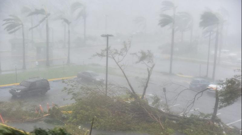 Trees are toppled in a parking lot at Roberto Clemente Coliseum in San Juan, Puerto Rico as Hurricane Maria makes landfall on the island. (Photo: AFP) Trees are toppled in a parking lot at Roberto Clemente Coliseum in San Juan, Puerto Rico as Hurricane Maria makes landfall on the island. (Photo: AFP)