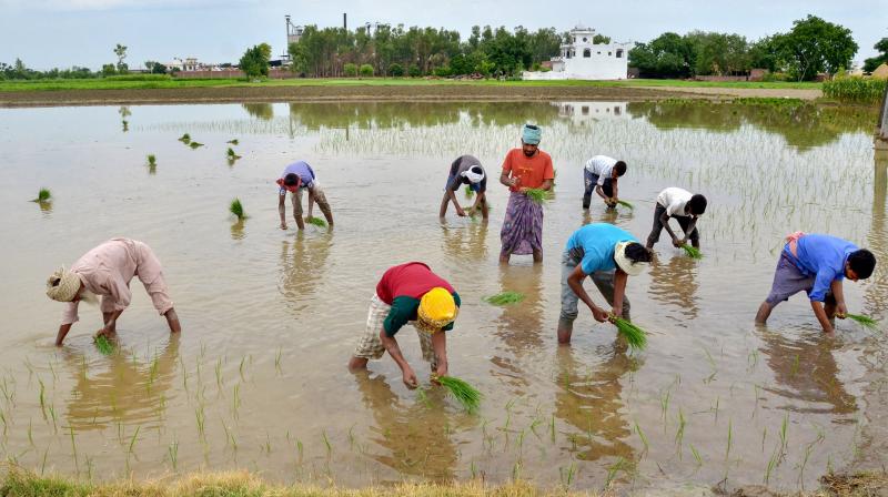 DC Edit | Rural jobs scheme an unmissable solution