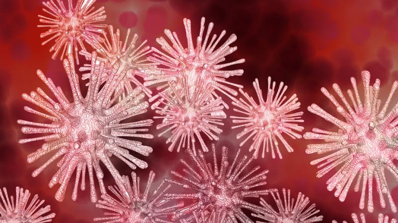 Highly lethal viruses can hijack cellular defences against cancer. (Photo: Pixabay) Highly lethal viruses can hijack cellular defences against cancer. (Photo: Pixabay)