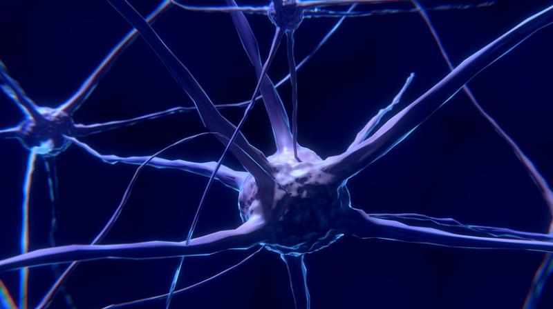 This could lead to loss of brain cells in old age. (Photo: Pixabay) This could lead to loss of brain cells in old age. (Photo: Pixabay)