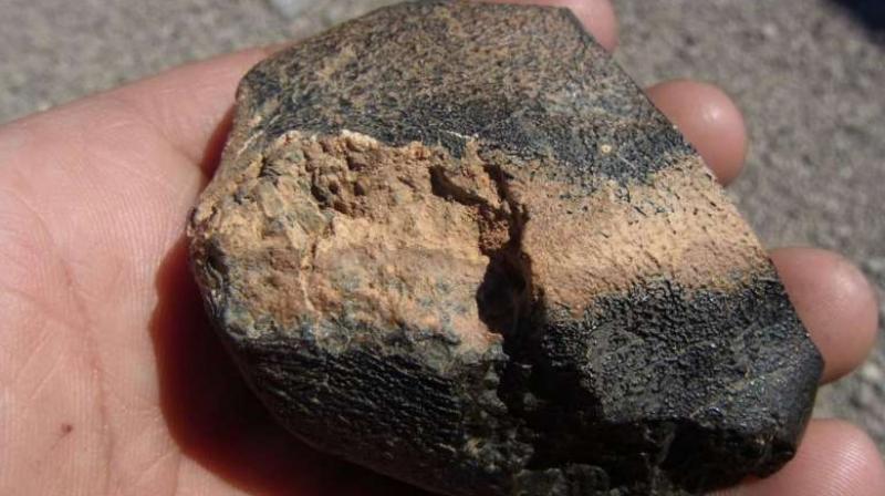 Sample of Martian meteorite Northwest Africa 7635. (Photo: phys.org) Sample of Martian meteorite Northwest Africa 7635. (Photo: phys.org)