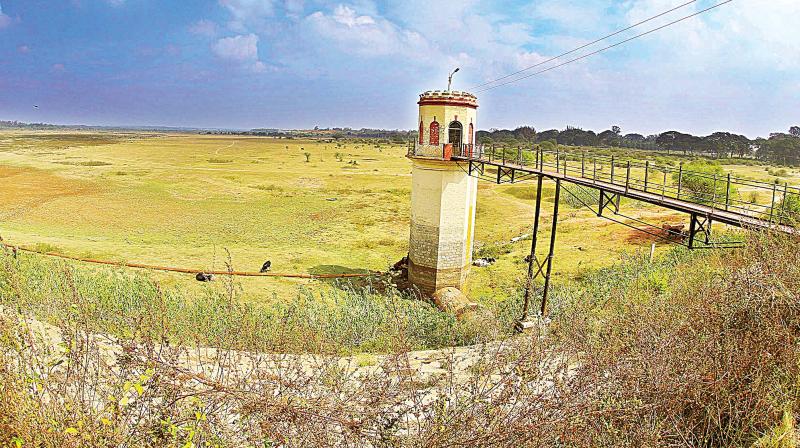 Hessarghatta reservoir in Bengaluru (Photo: DC) Hessarghatta reservoir in Bengaluru (Photo: DC)