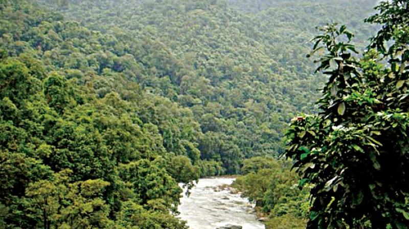 Once the Eco-Sensitive Zone is declared, restrictions would be imposed on human activity and development projects in villages in the forest periphery. Once the Eco-Sensitive Zone is declared, restrictions would be imposed on human activity and development projects in villages in the forest periphery.