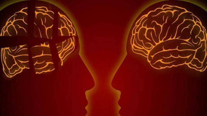 New study provides more evidence that reading and writing may be important factors in helping maintain a healthy brain. (Photo: ANI) New study provides more evidence that reading and writing may be important factors in helping maintain a healthy brain. (Photo: ANI)