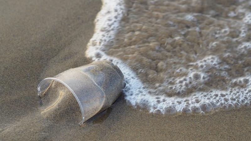 Some eight million tonnes of plastic is dumped into oceans every year. (Photo: Pixabay) Some eight million tonnes of plastic is dumped into oceans every year. (Photo: Pixabay)