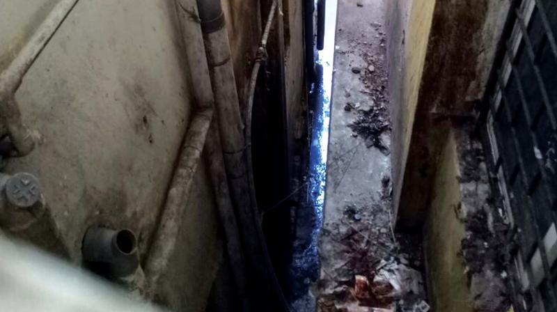 The quality of water here has deteriorated due to a high level of ammonia. The quality of water here has deteriorated due to a high level of ammonia.