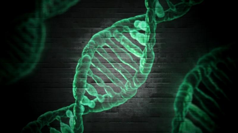 Without genetic testing, the genetic changes causing the developmental problem can not be detected by standard diagnostic testing. (Photo: Pixabay) Without genetic testing, the genetic changes causing the developmental problem can not be detected by standard diagnostic testing. (Photo: Pixabay)