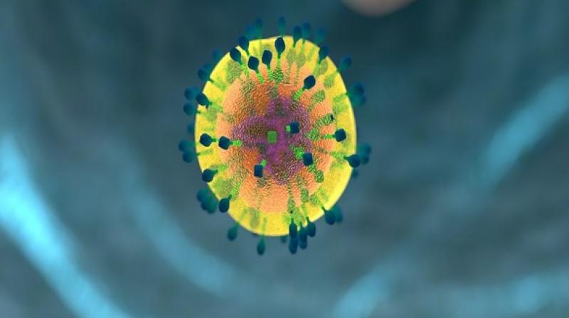 Collagens are the most abundant proteins found in mammals, and declining collagen levels are associated with aging. (Photo: ANI) Collagens are the most abundant proteins found in mammals, and declining collagen levels are associated with aging. (Photo: ANI)