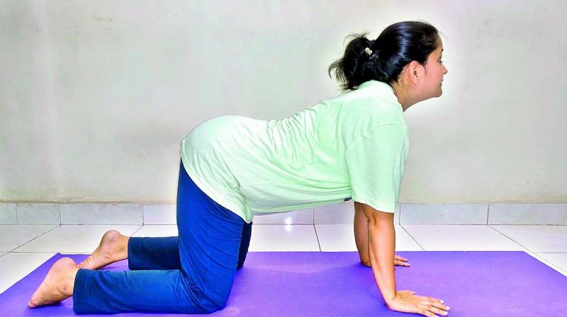 Marjarasana Marjarasana