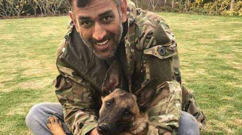 On Wednesday, the Jharkhand batsman shared a video on Instagram of a walk with the ‘pack’. (Photo: Instagram / MS Dhoni) On Wednesday, the Jharkhand batsman shared a video on Instagram of a walk with the ‘pack’. (Photo: Instagram / MS Dhoni)