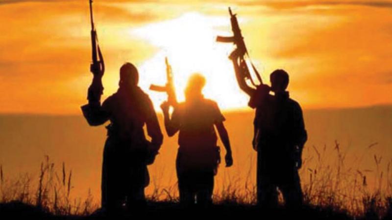 State police chief Loknath Behera confirmed the firing but awaited further details of the operation on the part of Thunderbolts. State police chief Loknath Behera confirmed the firing but awaited further details of the operation on the part of Thunderbolts.