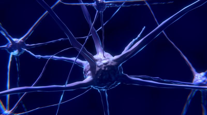 Here's why some people with brain markers of Alzheimer's have no dementia. (Photo: Pixabay) Here's why some people with brain markers of Alzheimer's have no dementia. (Photo: Pixabay)