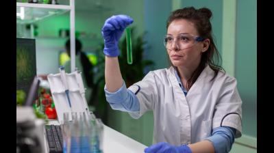 Picture used for representation