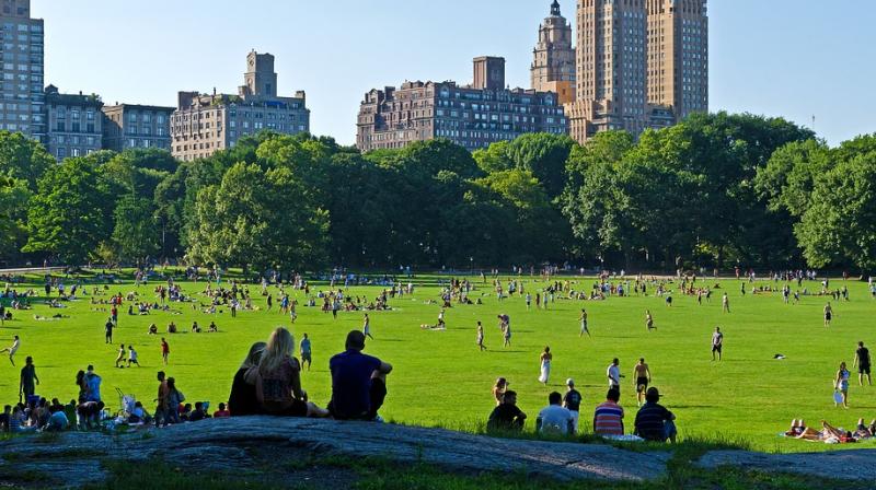 Central Park in New York City. (Photo: Pixabay) Central Park in New York City. (Photo: Pixabay)