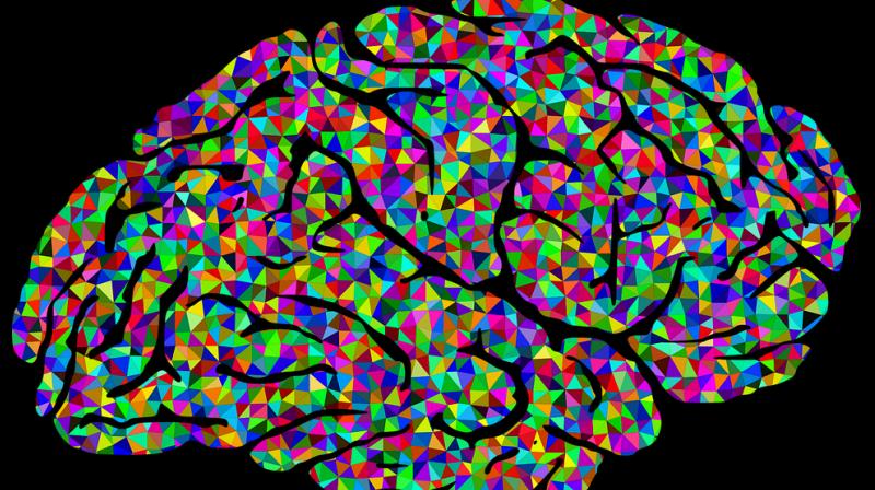 Researchers may have discovered cure for Alzheimer's disease. (Photo: Pixabay) Researchers may have discovered cure for Alzheimer's disease. (Photo: Pixabay)