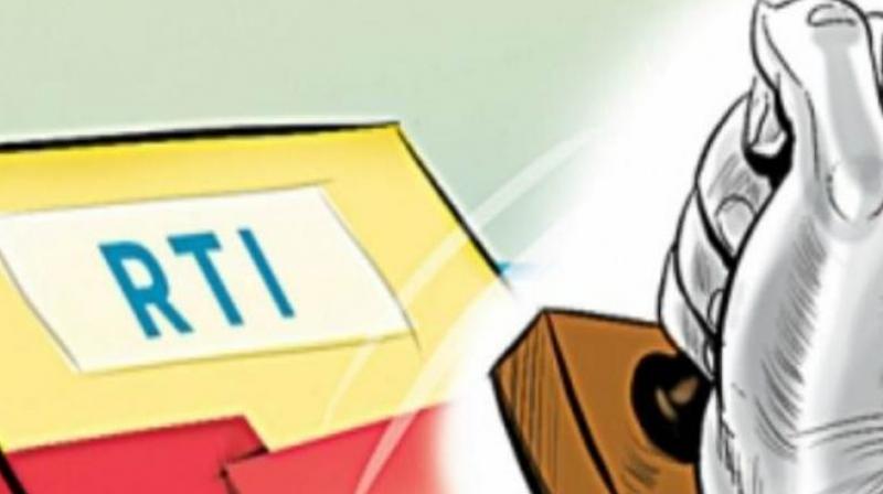 Replying to an RTI query, it said the study reports of the NIPFP, NCAER and NIFM were received by the government on December 30, 2013, July 18, 2014, and August 21, 2014, respectively. (Representational Image | PTI) Replying to an RTI query, it said the study reports of the NIPFP, NCAER and NIFM were received by the government on December 30, 2013, July 18, 2014, and August 21, 2014, respectively. (Representational Image | PTI)