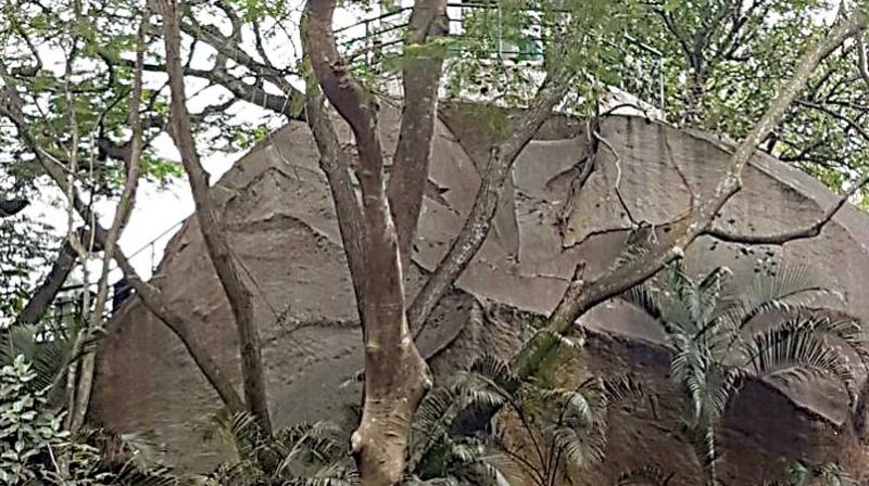 As the deadly disease spreads through bats and the park is home to hundreds of these winged mammals, people are staying away. As the deadly disease spreads through bats and the park is home to hundreds of these winged mammals, people are staying away.