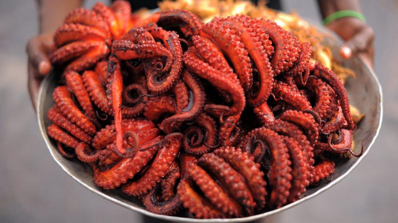 The giant Pacific octopus had successfully predicted Japan would lose that match but he was unfortunately not around to see his prophecy come true. (Photo: AFP) The giant Pacific octopus had successfully predicted Japan would lose that match but he was unfortunately not around to see his prophecy come true. (Photo: AFP)