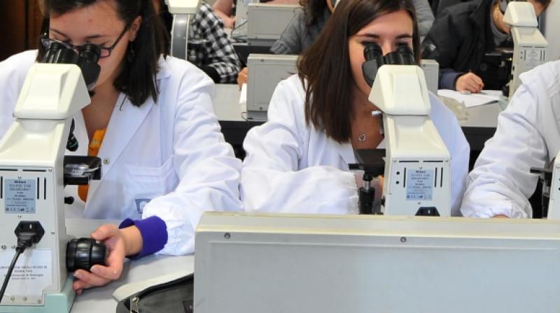 They tested various concentrations of PS-b-PtBA with different solvent mixtures (Photo: AFP) They tested various concentrations of PS-b-PtBA with different solvent mixtures (Photo: AFP)