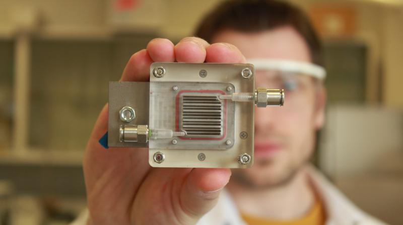(Image: University of Antwerp and KU Leuven) (Image: University of Antwerp and KU Leuven)