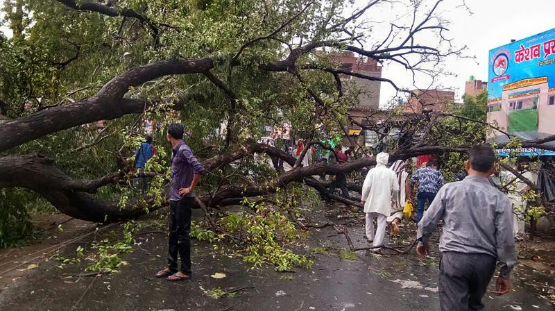 The state was swept by three major dust storms last month that left over 130 people dead. (Photo: PTI) The state was swept by three major dust storms last month that left over 130 people dead. (Photo: PTI)