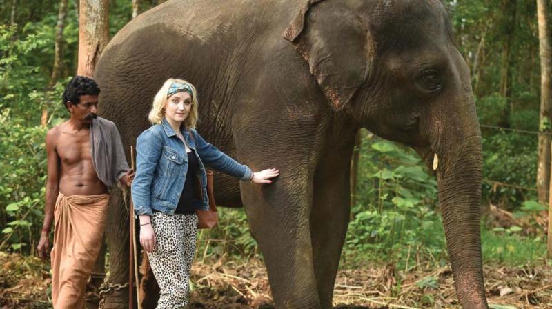 Evanna during her trip to Kerala — All photos sourced from EVANNA’S Facebook post. Evanna during her trip to Kerala — All photos sourced from EVANNA’S Facebook post.