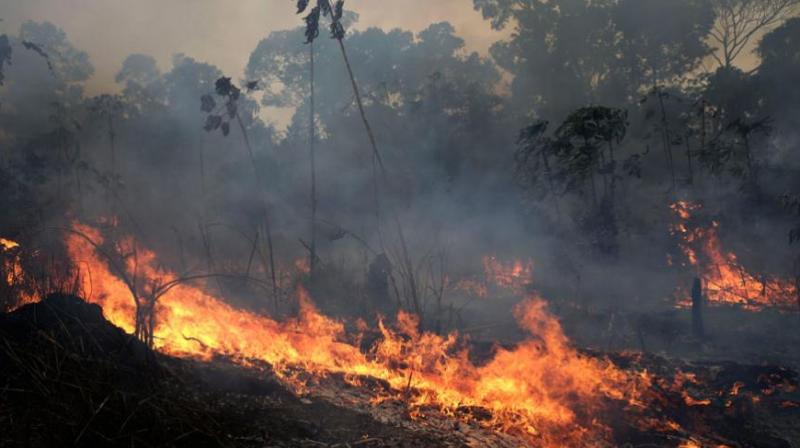 The fires are not limited to Brazil, with at least 10,000 sq km (about 3,800 sq miles) burning in Bolivia, near its border with Paraguay and Brazil. (Photo: AP) The fires are not limited to Brazil, with at least 10,000 sq km (about 3,800 sq miles) burning in Bolivia, near its border with Paraguay and Brazil. (Photo: AP)