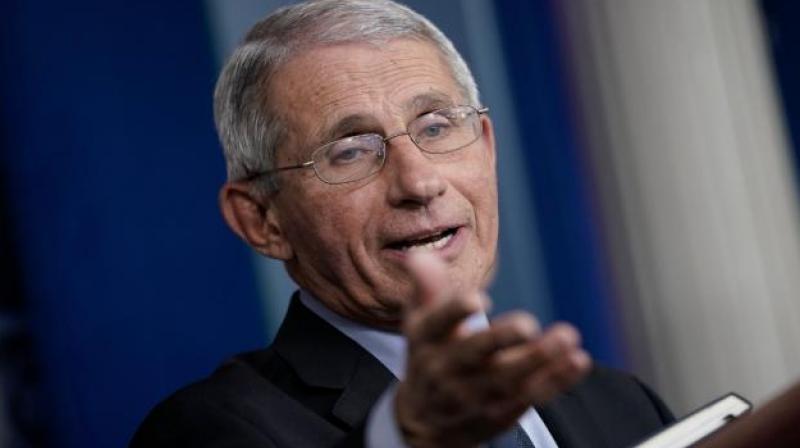 Leading U.S. health expert, Anthony Fauci. Twitter Photo