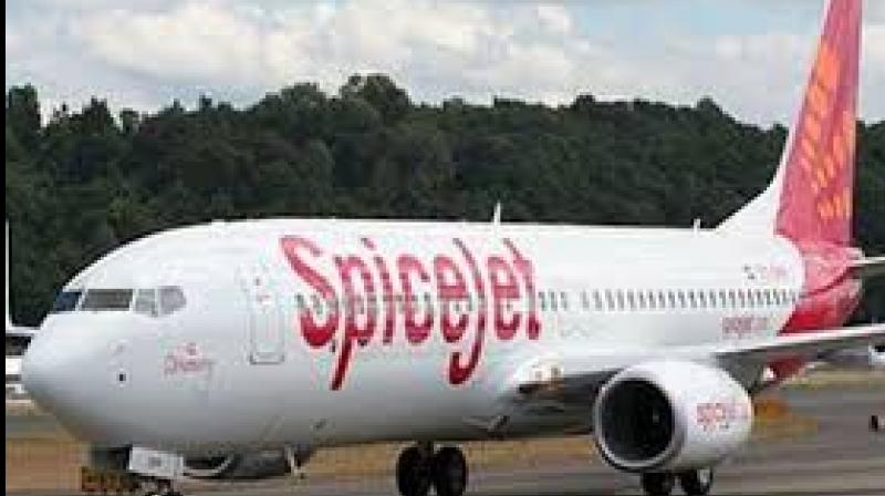 Spicejet had posted a net profit of Rs 238.39 crore in the corresponding quarter a year ago. Spicejet had posted a net profit of Rs 238.39 crore in the corresponding quarter a year ago.