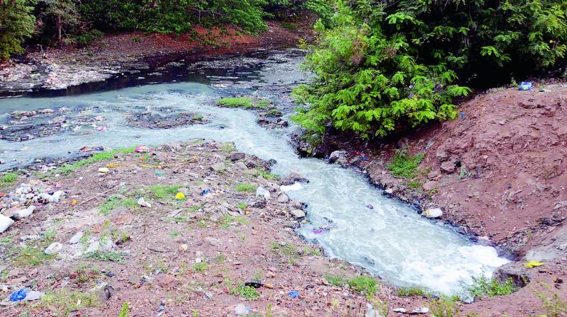 The filling-up, undertaken by the society with the connivance of Kochi Corporation, is taking place in an area identified by the sub-committee appointed by the Supreme Court to identify CRZ violations at Chilavannoor backwaters in Kochi. The filling-up, undertaken by the society with the connivance of Kochi Corporation, is taking place in an area identified by the sub-committee appointed by the Supreme Court to identify CRZ violations at Chilavannoor backwaters in Kochi.
