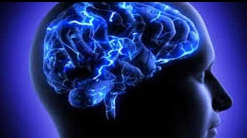 The study stems from previous research by Konopka that linked specific genes to resting-state brain behaviour (Photo: AFP) The study stems from previous research by Konopka that linked specific genes to resting-state brain behaviour (Photo: AFP)
