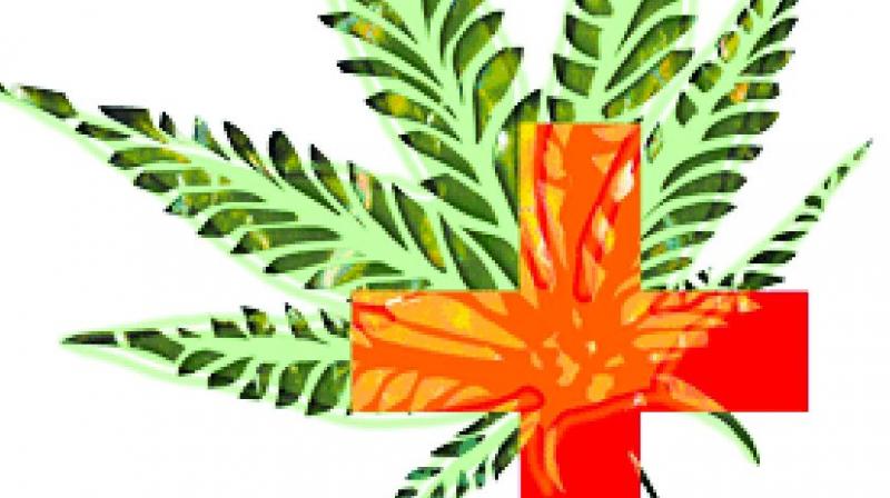 tetrahydrocannabinol, which is the active component of the drug, leaves the mind in emotional distress. tetrahydrocannabinol, which is the active component of the drug, leaves the mind in emotional distress.