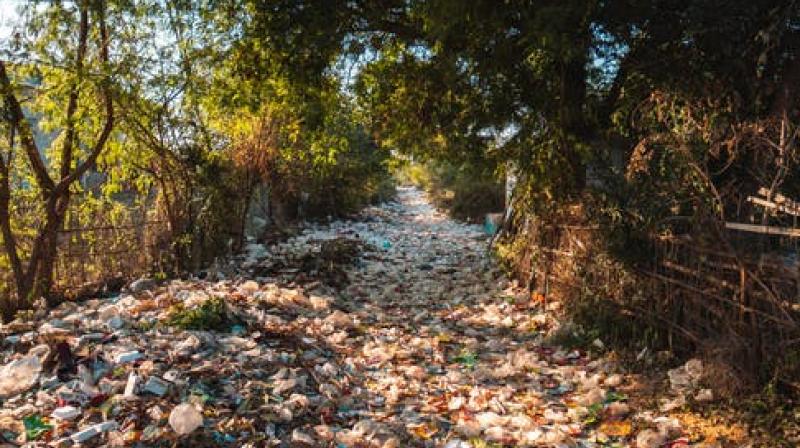 The dystopian state of the hills and mountains has resulted in prominent lifestyle changes. (Photo: Representational/Pexels) The dystopian state of the hills and mountains has resulted in prominent lifestyle changes. (Photo: Representational/Pexels)